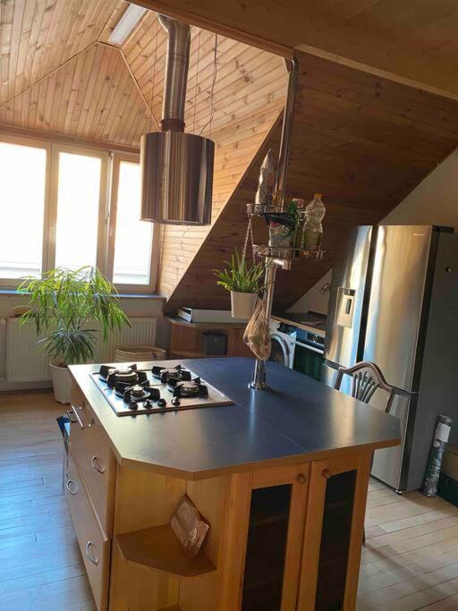 Rooftop 180M2 Loft With Private Sauna, Bratislava Buitenkant foto