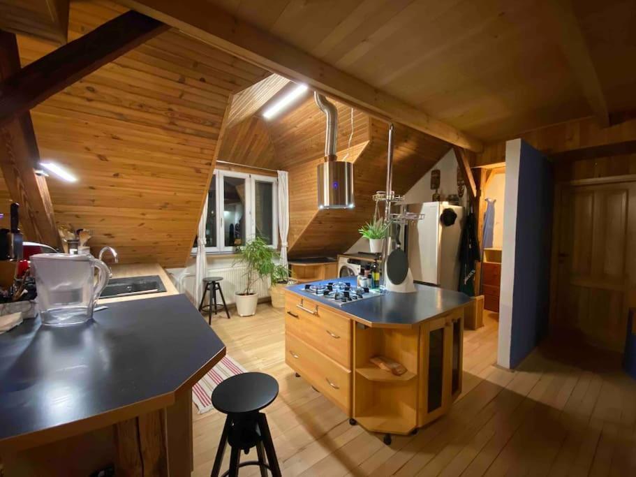 Rooftop 180M2 Loft With Private Sauna, Bratislava Buitenkant foto